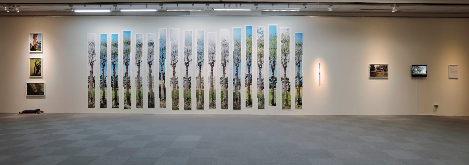 Shi Jin-Hua, The Yoga Tree, 1994-1996