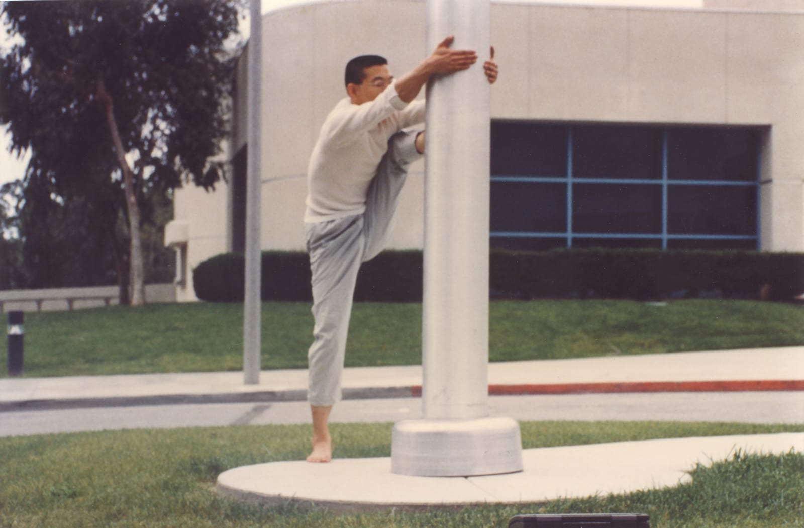 Shi Jin-Hua, Flag Pole, 1996