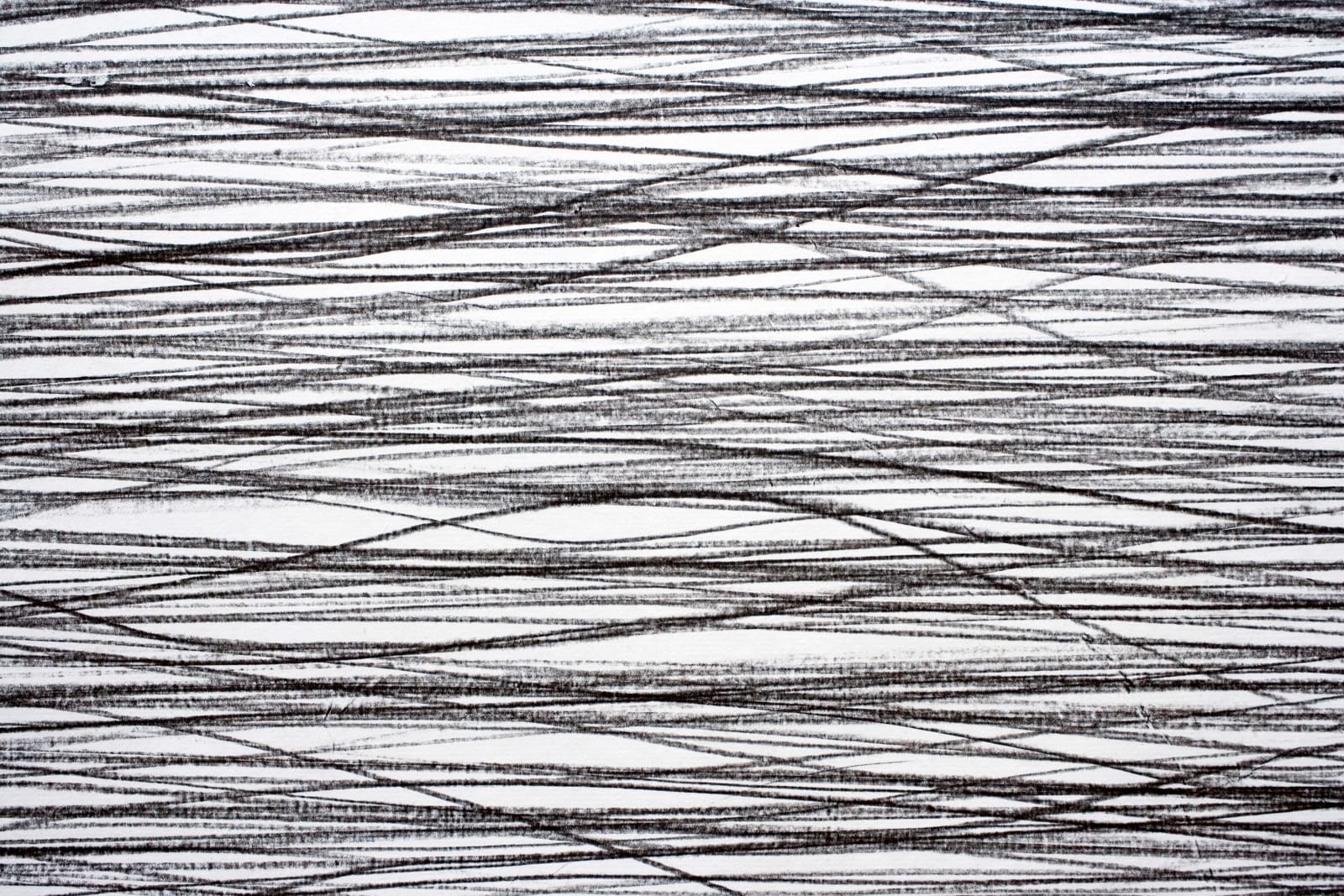 Shi Jin-Hua, Pen Walking #48, 2008