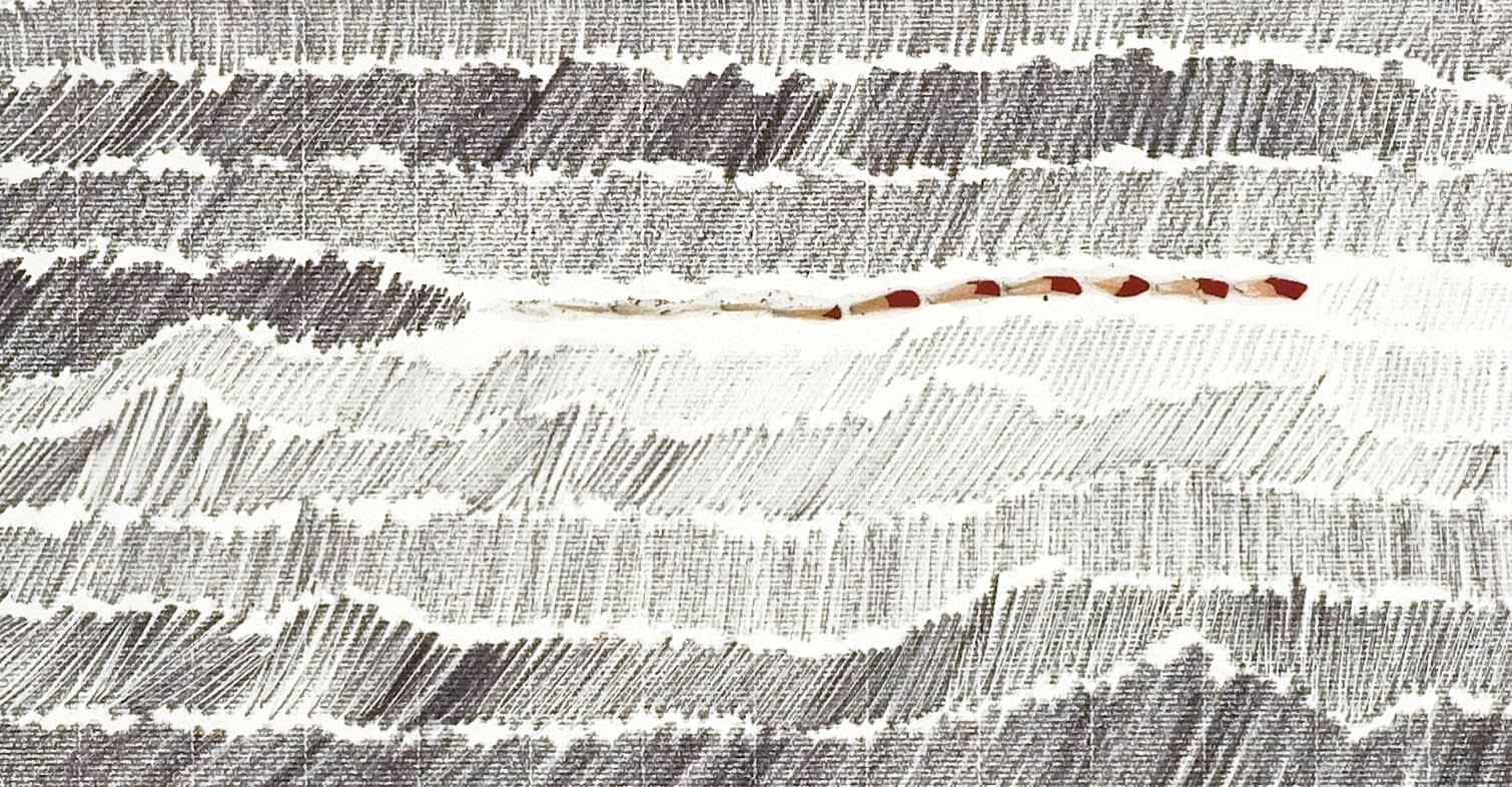 Shi Jin-Hua, Pen Walking #31, 2007