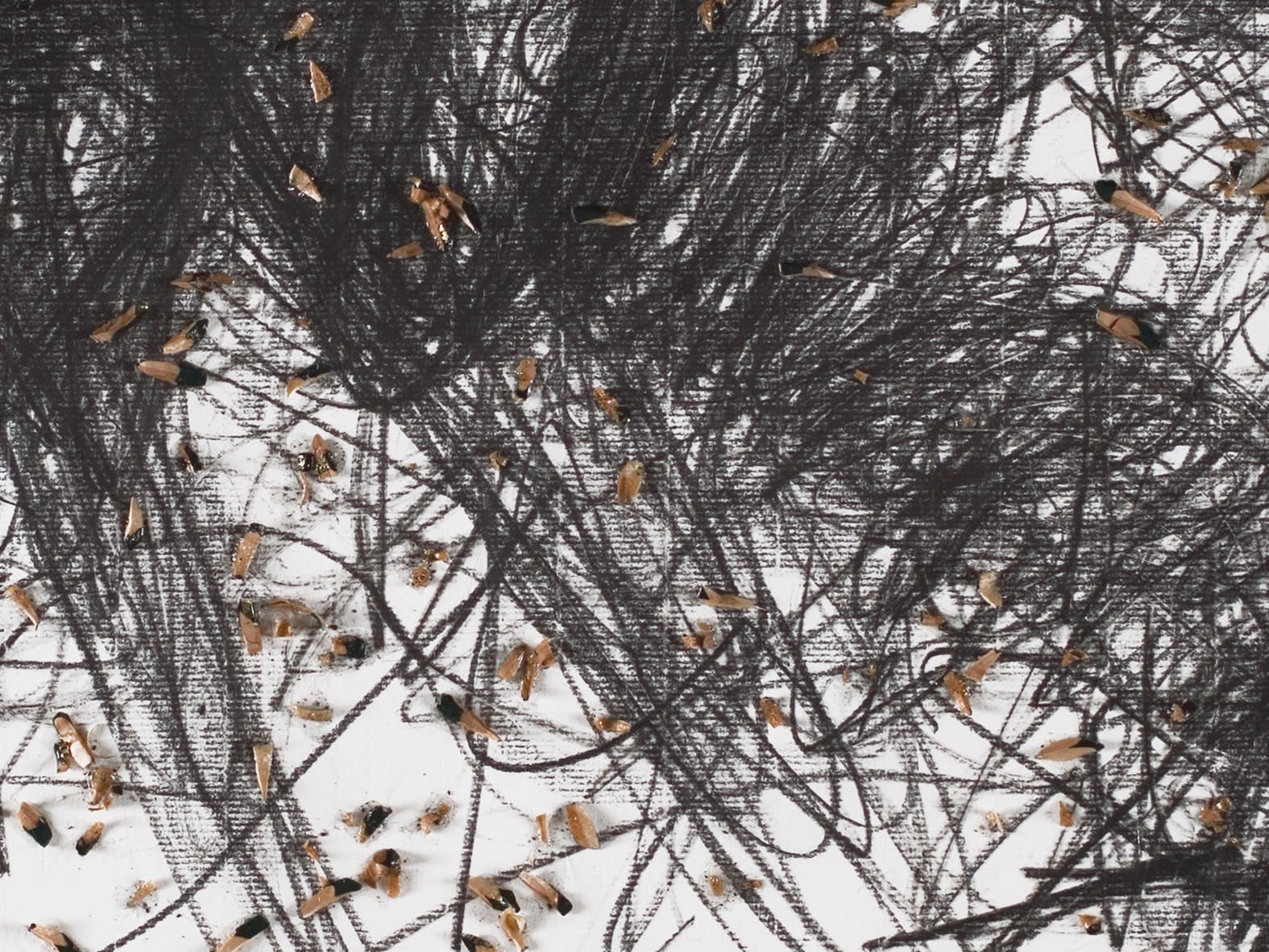 Shi Jin-Hua, Pen Walking #62, 2008