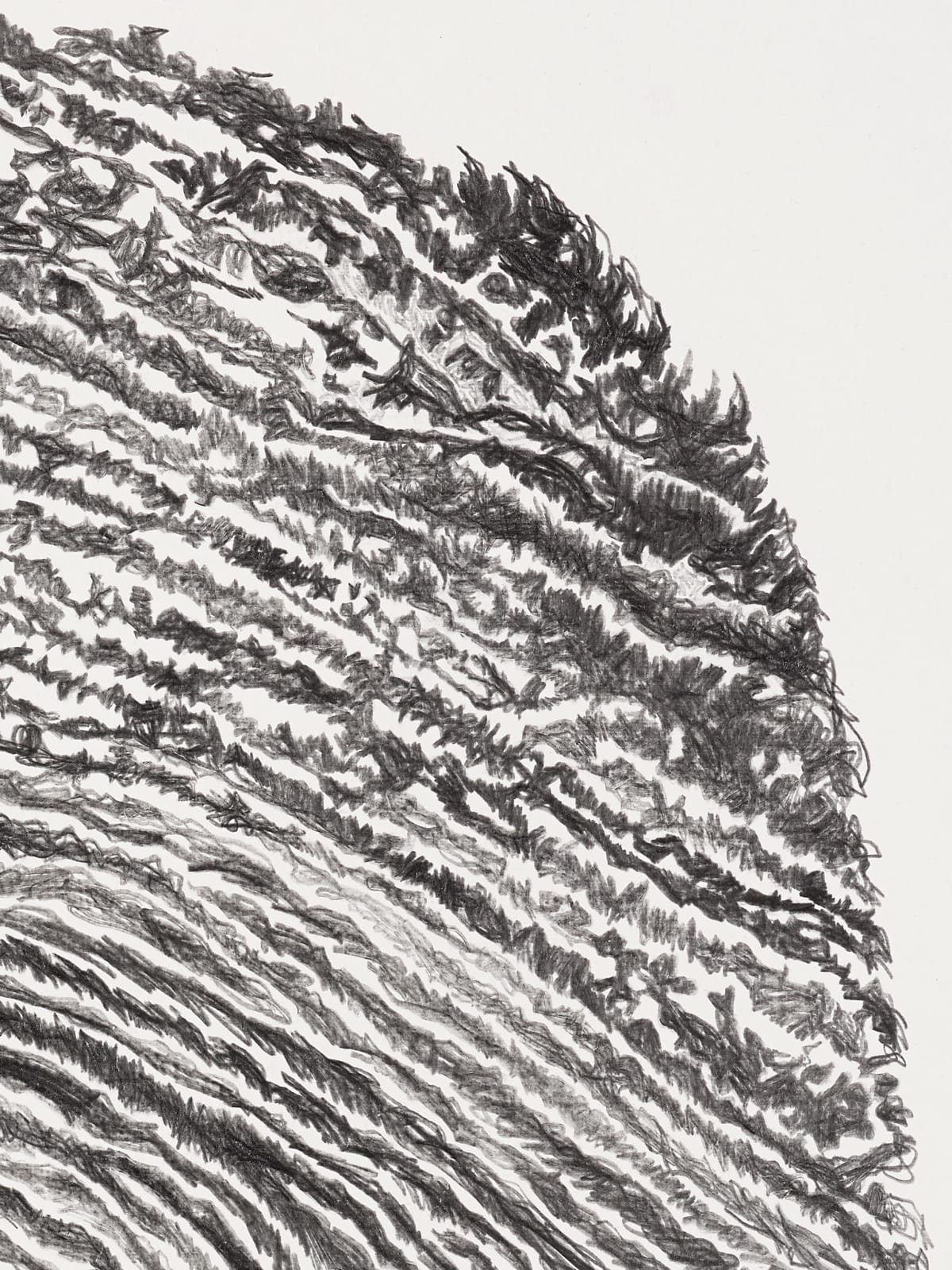Shi Jin-Hua, Pen Walking #135, 2014