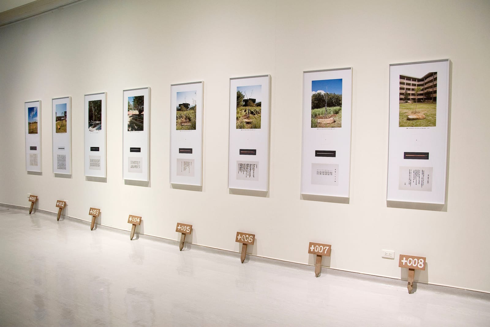 Shi Jin-Hua, X Bodhi Trees, 2010-2021