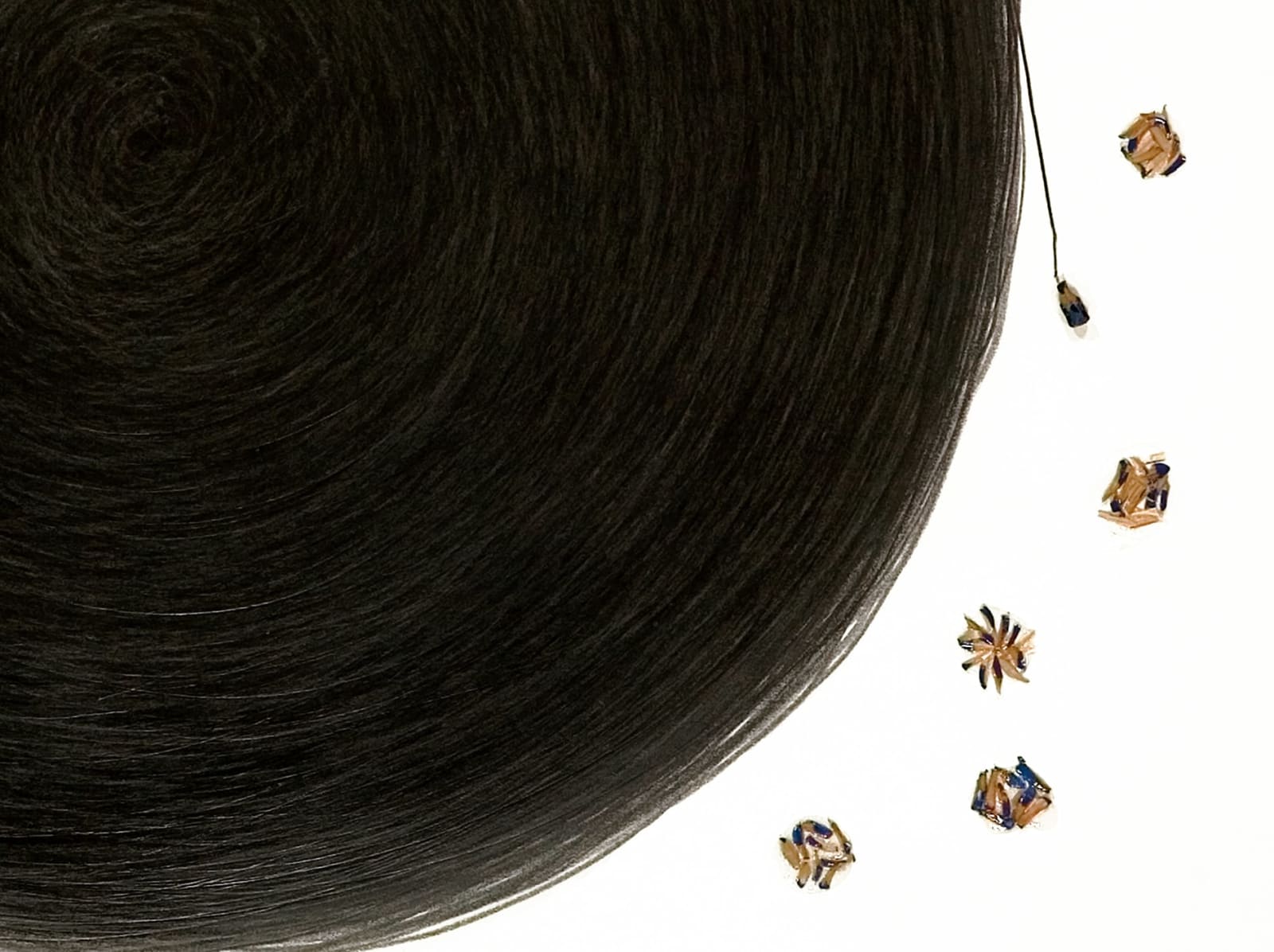 Shi Jin-Hua, Pen Walking #27, 2007