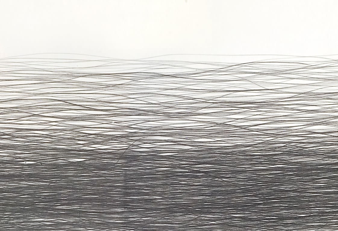 Shi Jin-Hua, Pen Walking #69, 2008