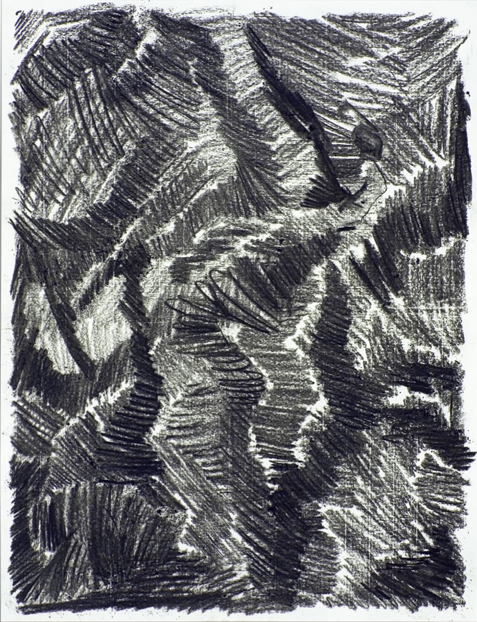 Shi Jin-Hua, Pen Walking #22, 2007