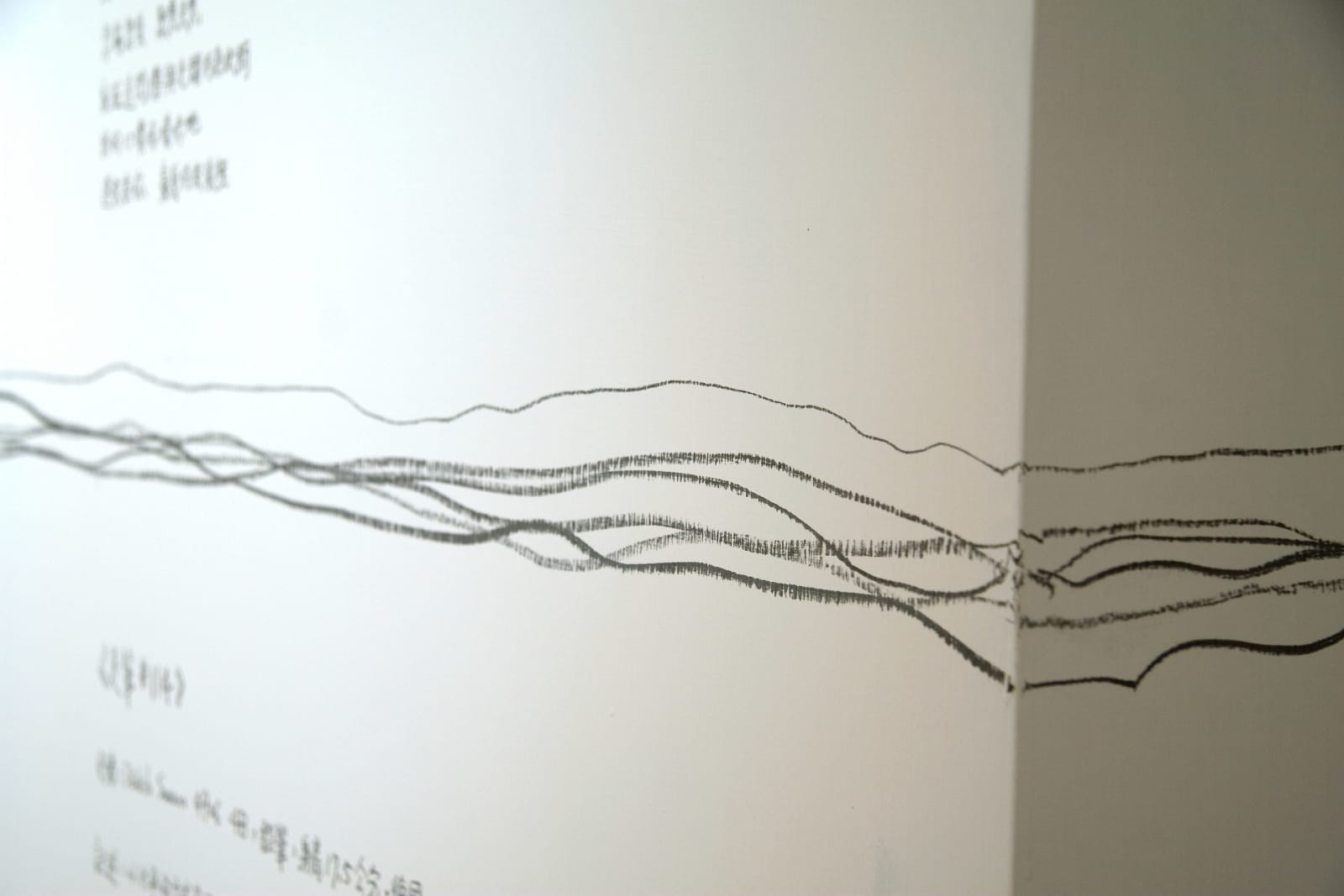 Shi Jin-Hua, Pen Walking #116, 2011
