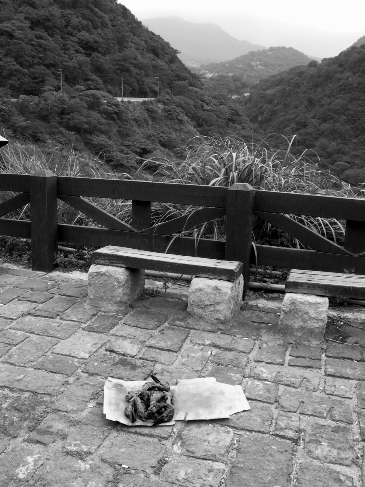 Shi Jin-Hua, Cantonese-style Barbeque Project, 1996-2002