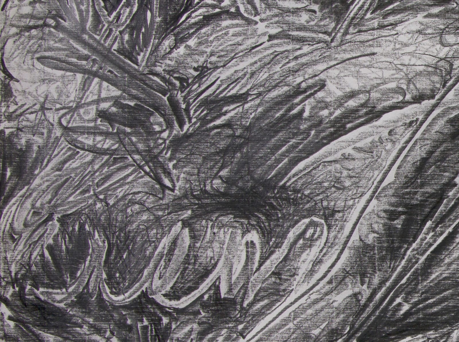 Shi Jin-Hua, Lines of Music Op.02, 2018