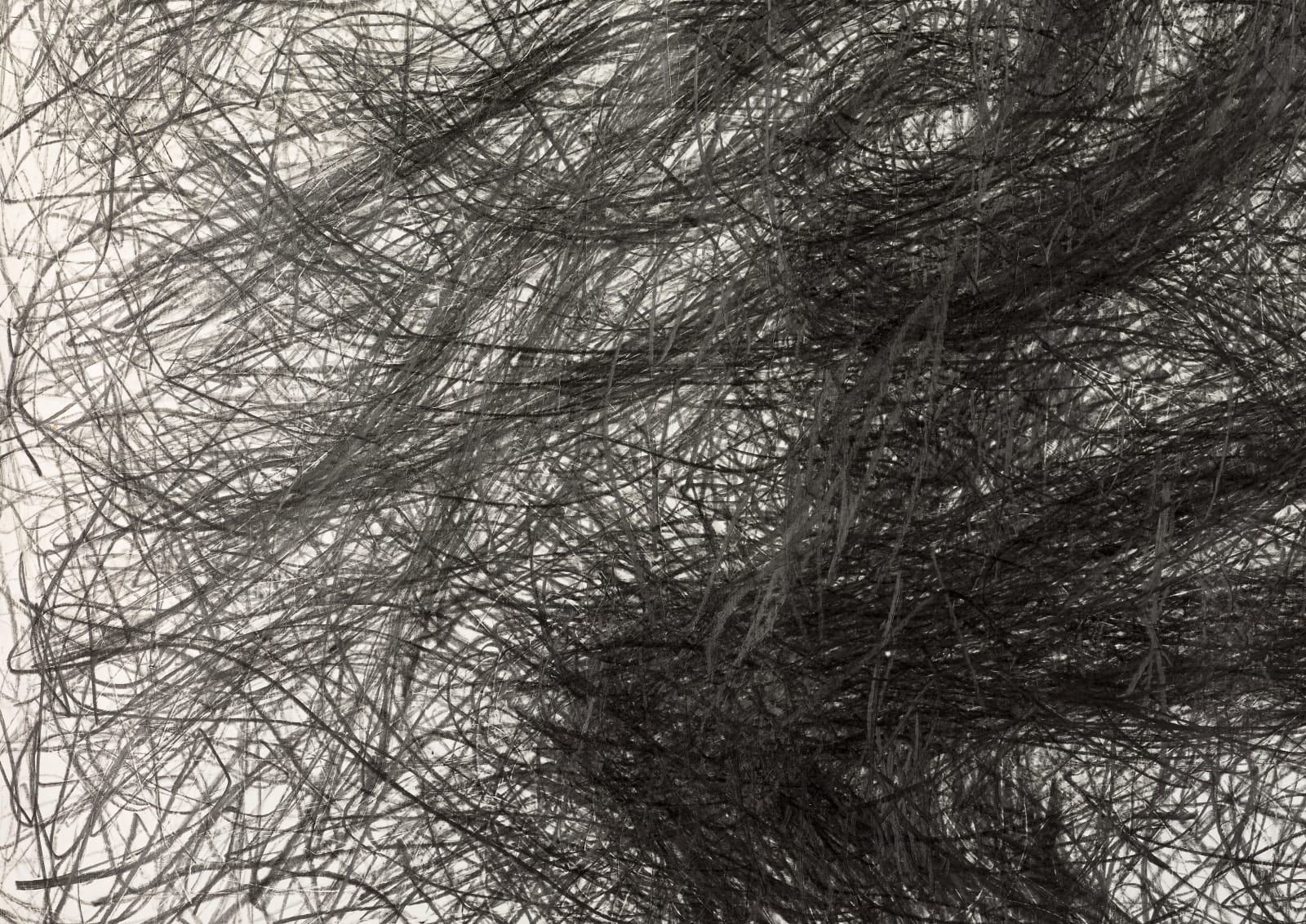 Shi Jin-Hua, The Sacrifice Tree – Prequel, 2012-2016