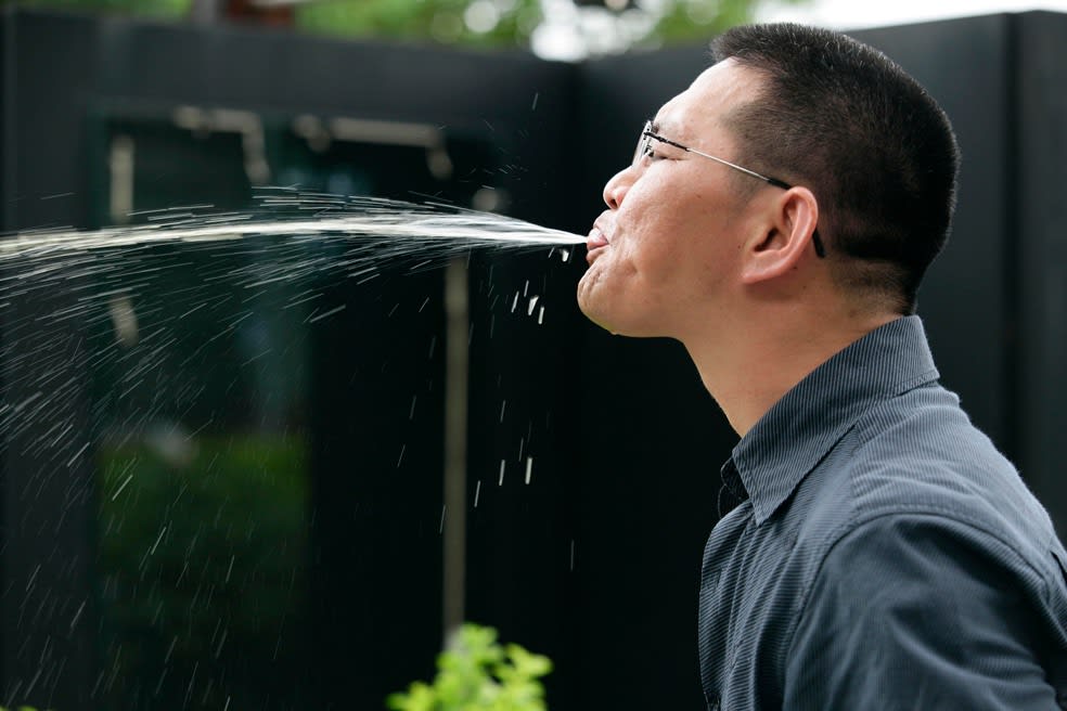 Shi Jin-Hua, Spitting Johnnie - Civic Boulevard 2nd Section Project, 2008