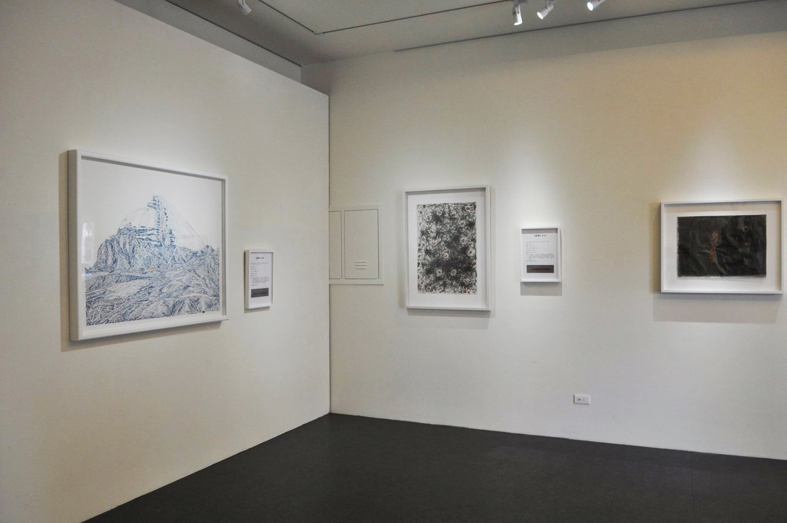 Shi Jin-Hua, Pen Walking #15, 2006