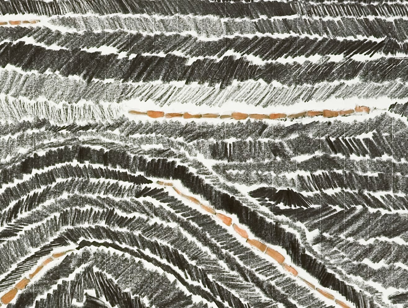 Shi Jin-Hua, Pen Walking #43, 2007