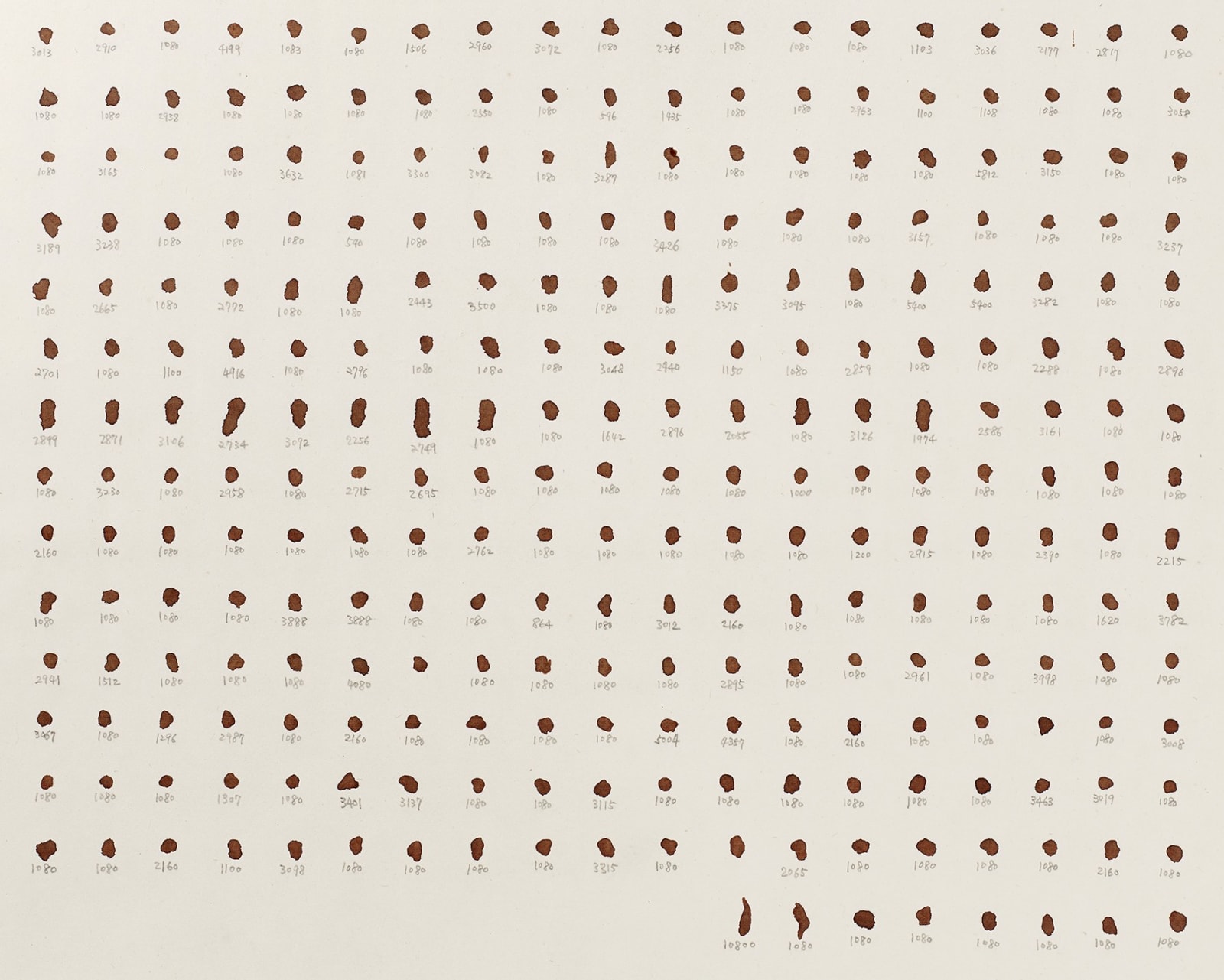 Shi Jin-Hua, One Thousand Days, 2012.04.20-2015.01.14
