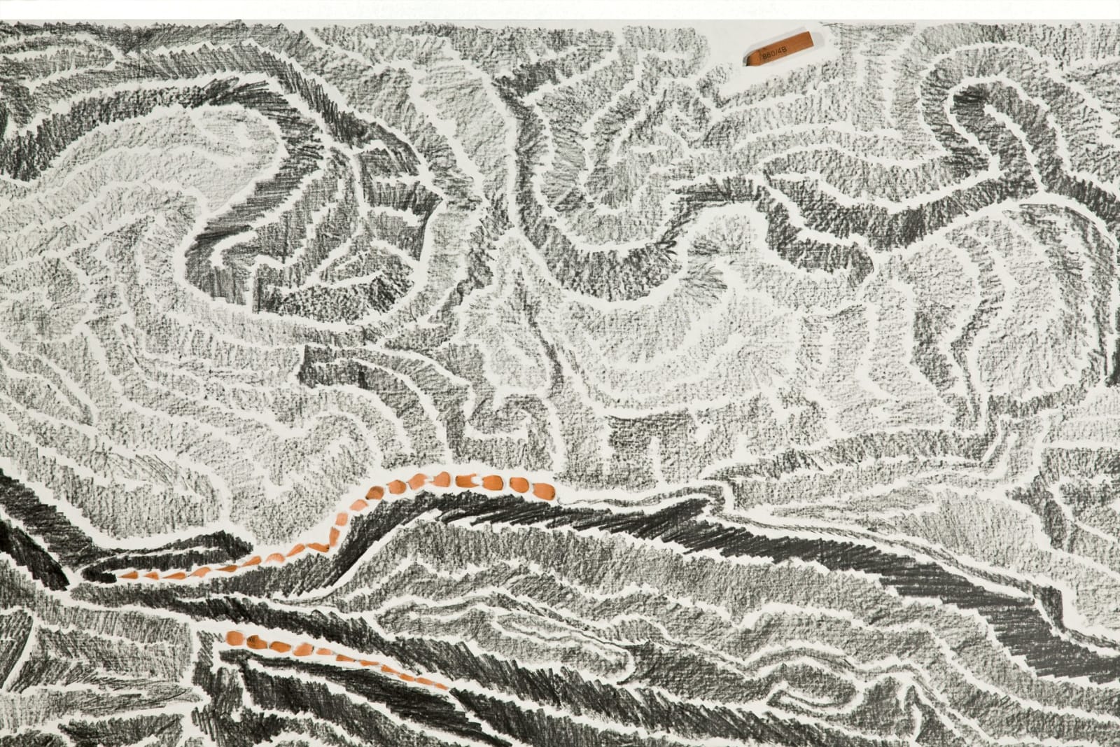 Shi Jin-Hua, Pen Walking #99, 2011