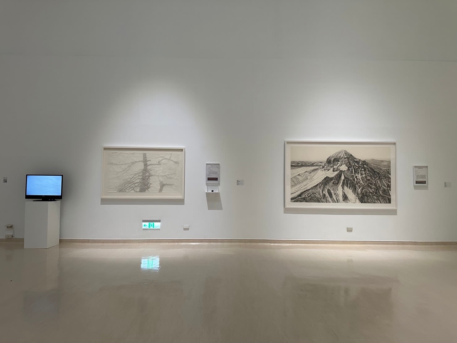 Shi Jin-Hua, Pen Walking #181, 2021-2022