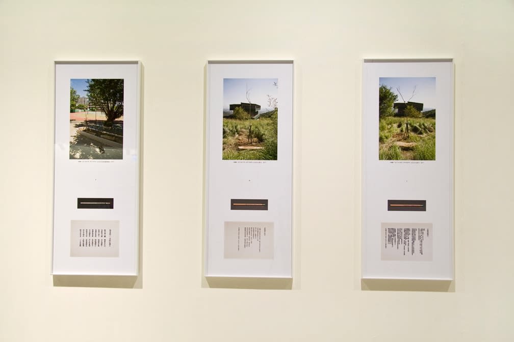 Shi Jin-Hua, X Bodhi Trees, 2010-2021