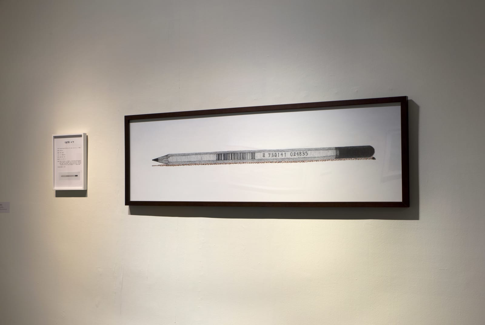 Shi Jin-Hua, Pen Walking #79, 2009-2014