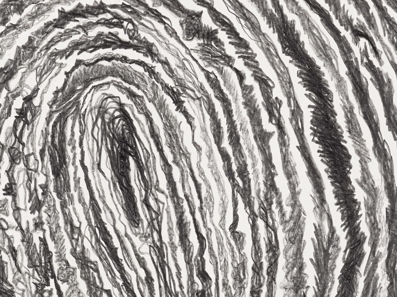 Shi Jin-Hua, Pen Walking #135, 2014
