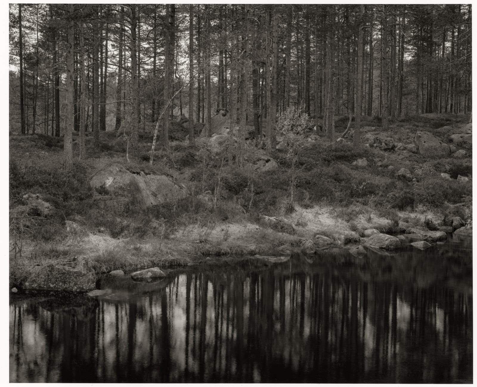Dag Alveng, The Riverbed between Husvatnet and Lonvatn, 2020