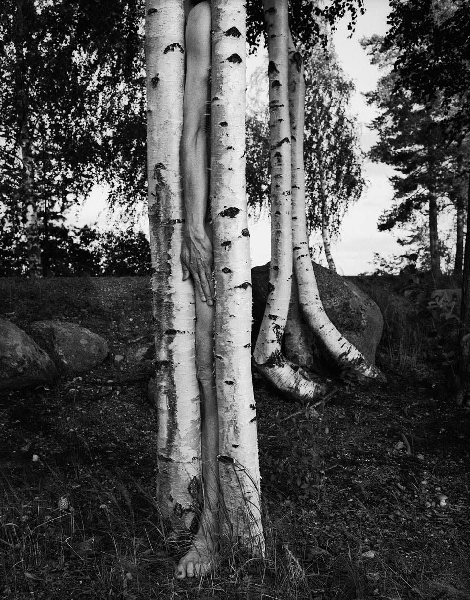 Arno Rafael Minkkinen, Väisälänsaari, Finland (limbs between biches), 1998