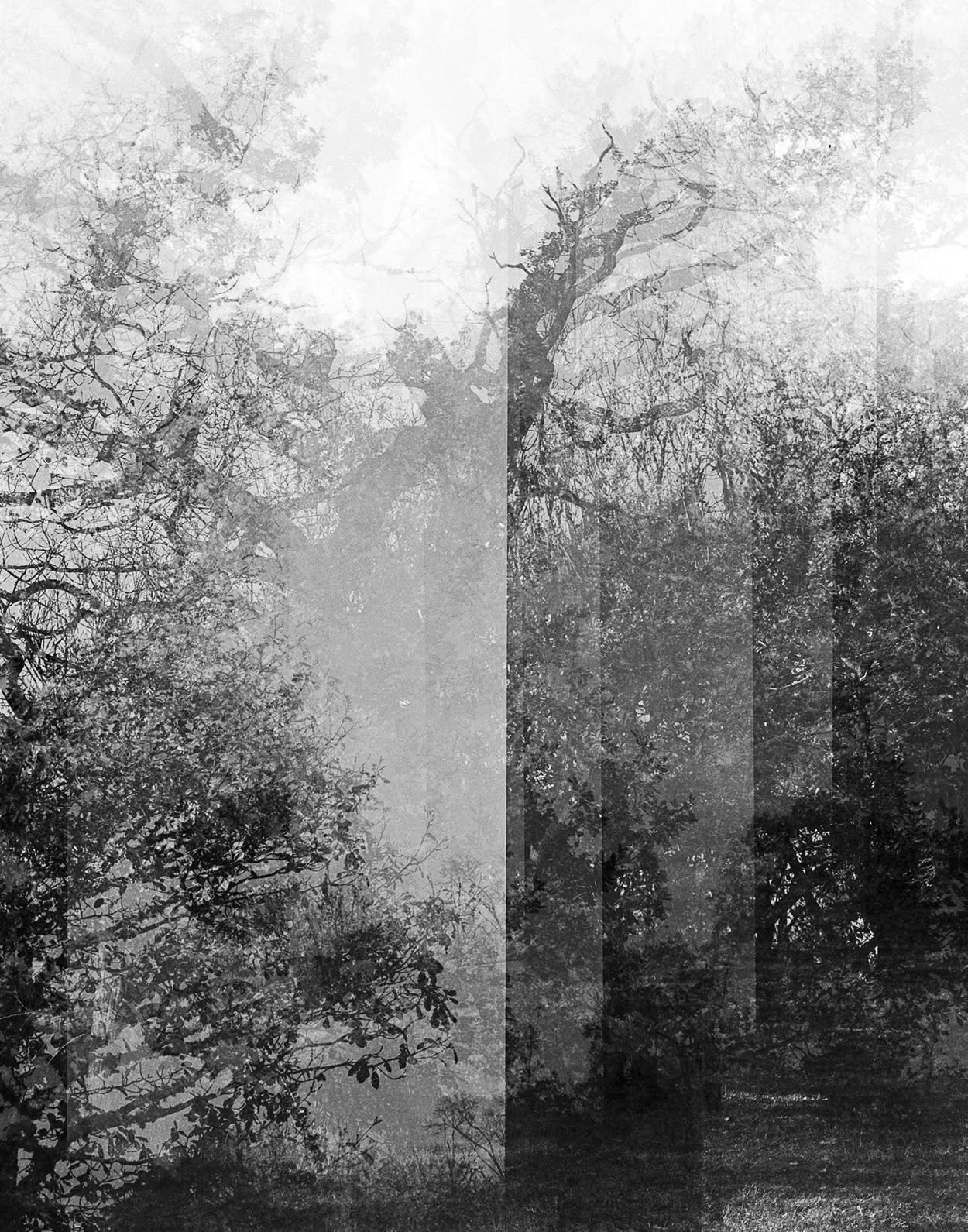 Ole Brodersen, Tidshorisont, Untitled #7, 2021