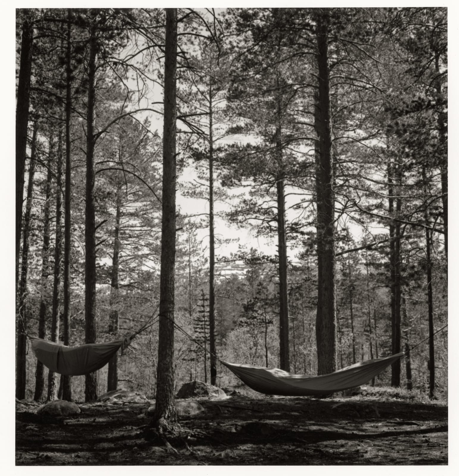 Dag Alveng, Hægefjell (series). No title, 2020