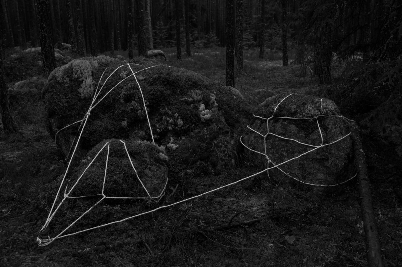Anna Reivilä, Bond #4, 2016