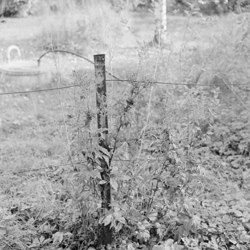 Dag Alveng, Summerlight / Gjerdestolpe, 1987