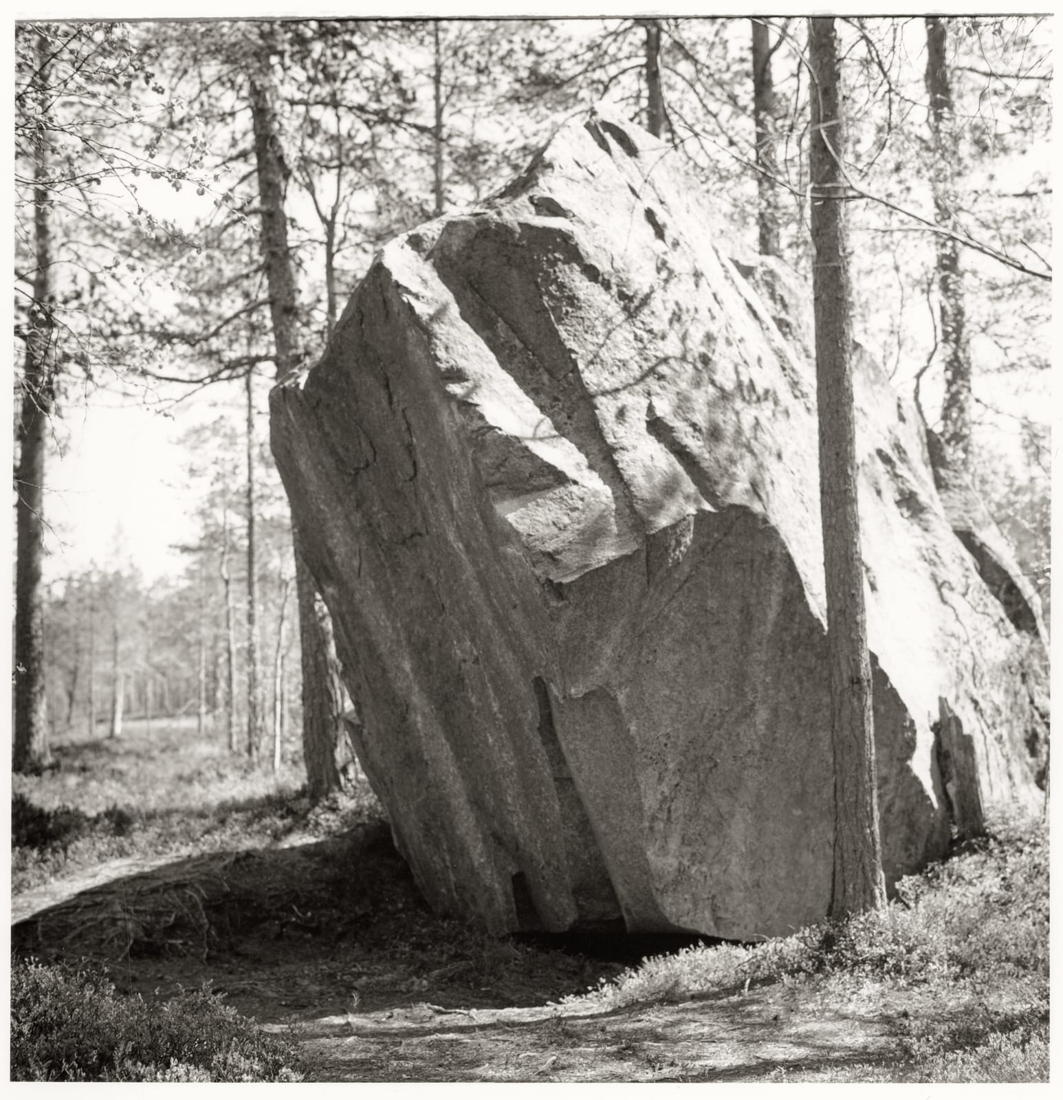 Dag Alveng, Hægefjell (series). No title , 2020