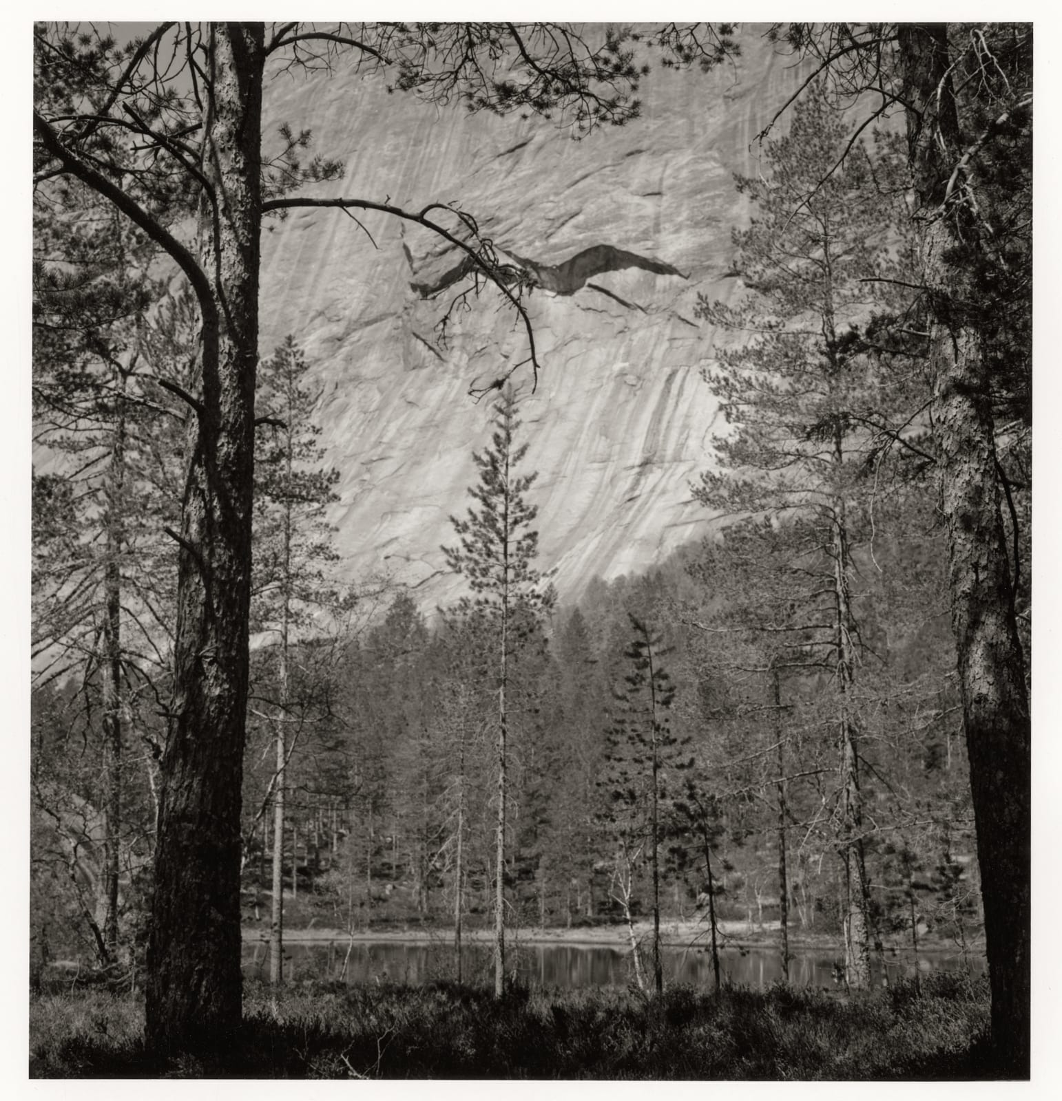 Dag Alveng, Hægefjell (series). No title, 2020