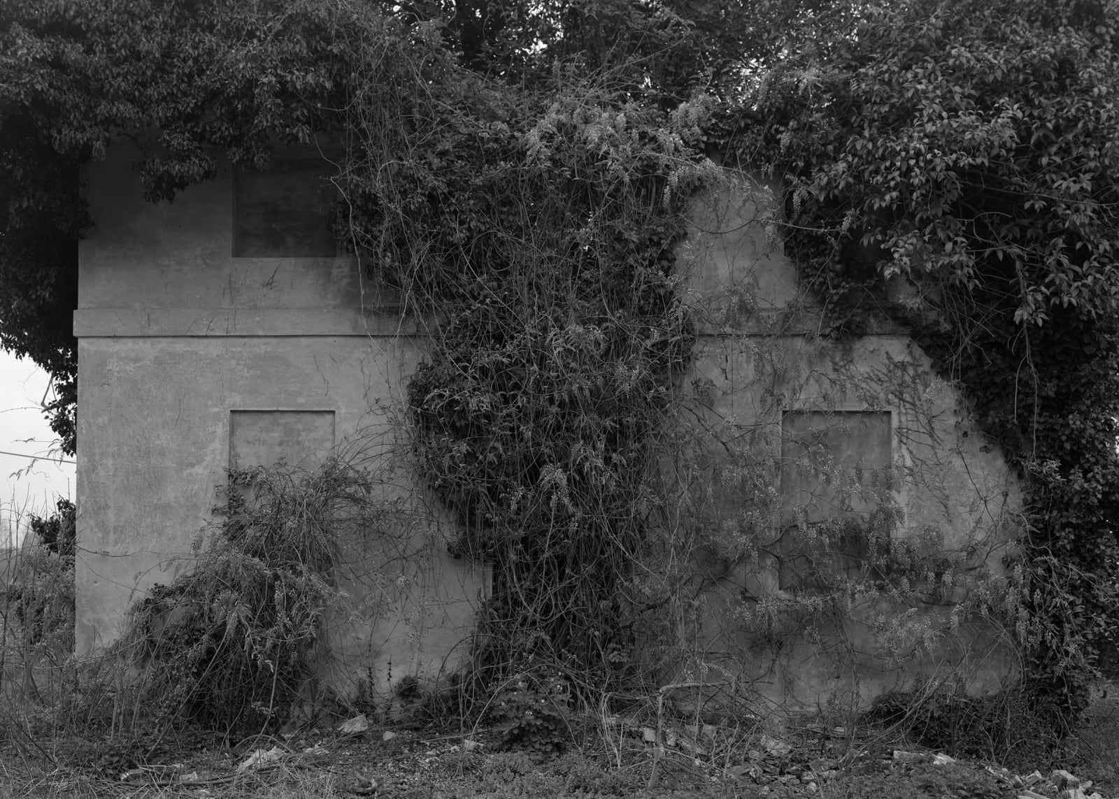 Dag Alveng, Untitled, Palladio Songs, 2019