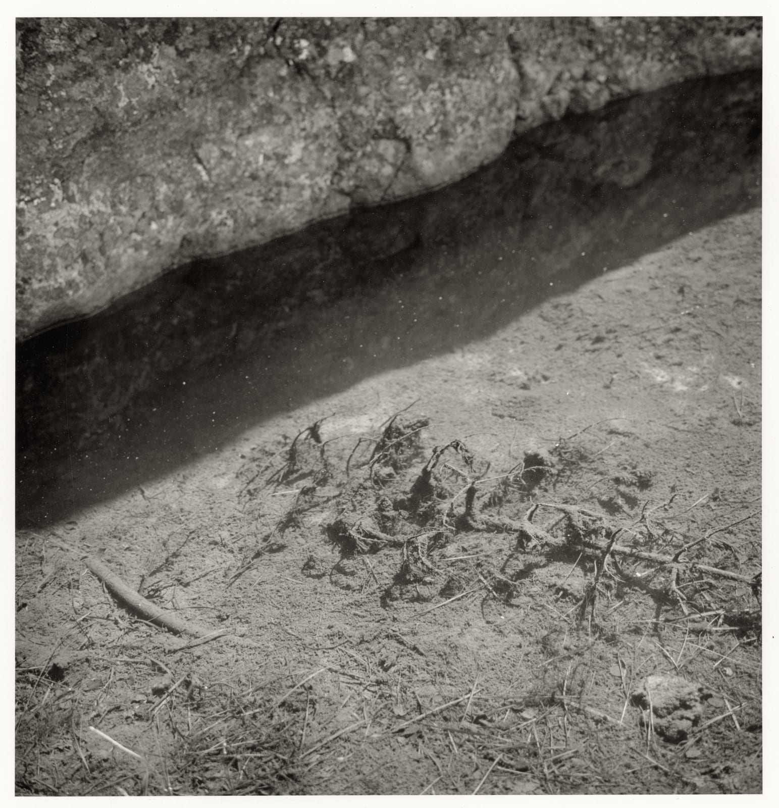 Dag Alveng, Hægefjell (series). No title, 2020