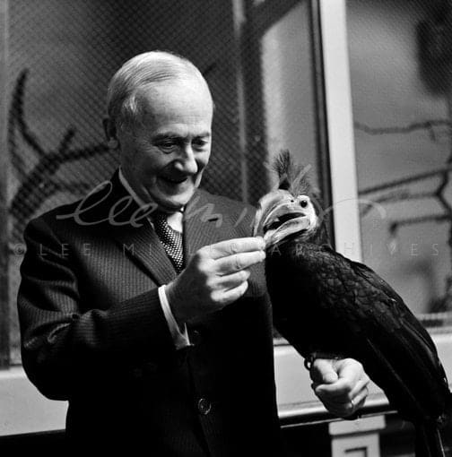 Lee Miller, Joan Miro Feeds a Hornbill, London Zoo, England, 1964
