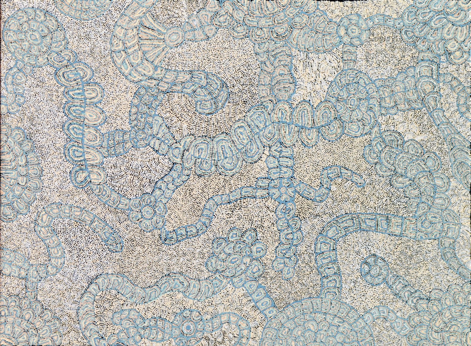 Katrina Tjitayi, Kaliny-Kaliny / Honey Grevillea