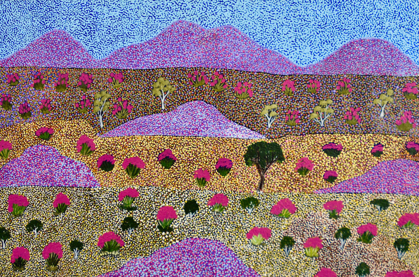 Susie Peterson, Epenarra Landscape, 2022