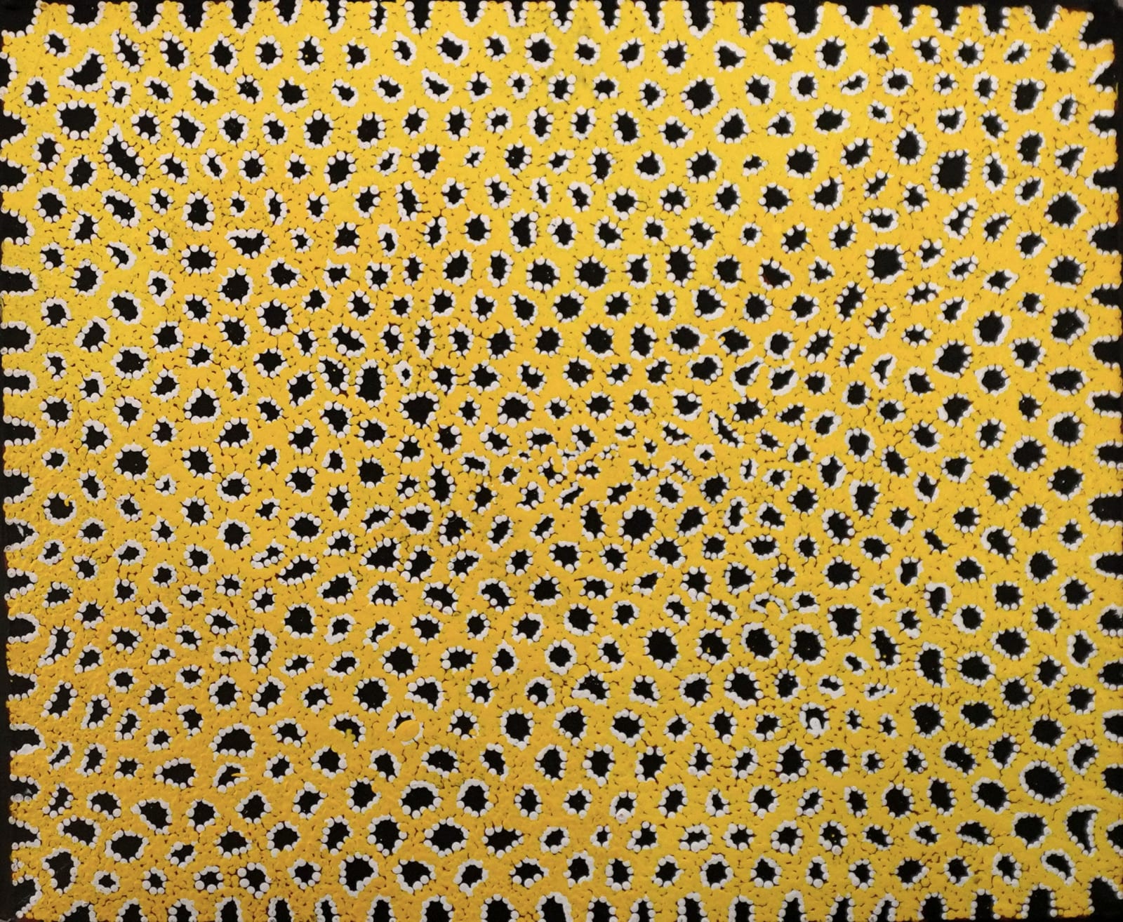 Renita Napangardi Brown, Wardapi Jukurrpa (Goanna Dreaming) - Yarripilangu, 2023