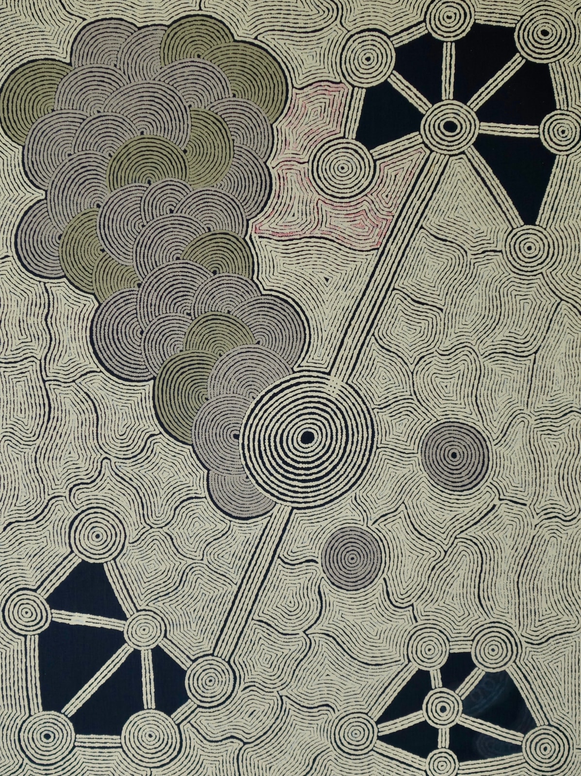 Alison Anderson, Uluruba