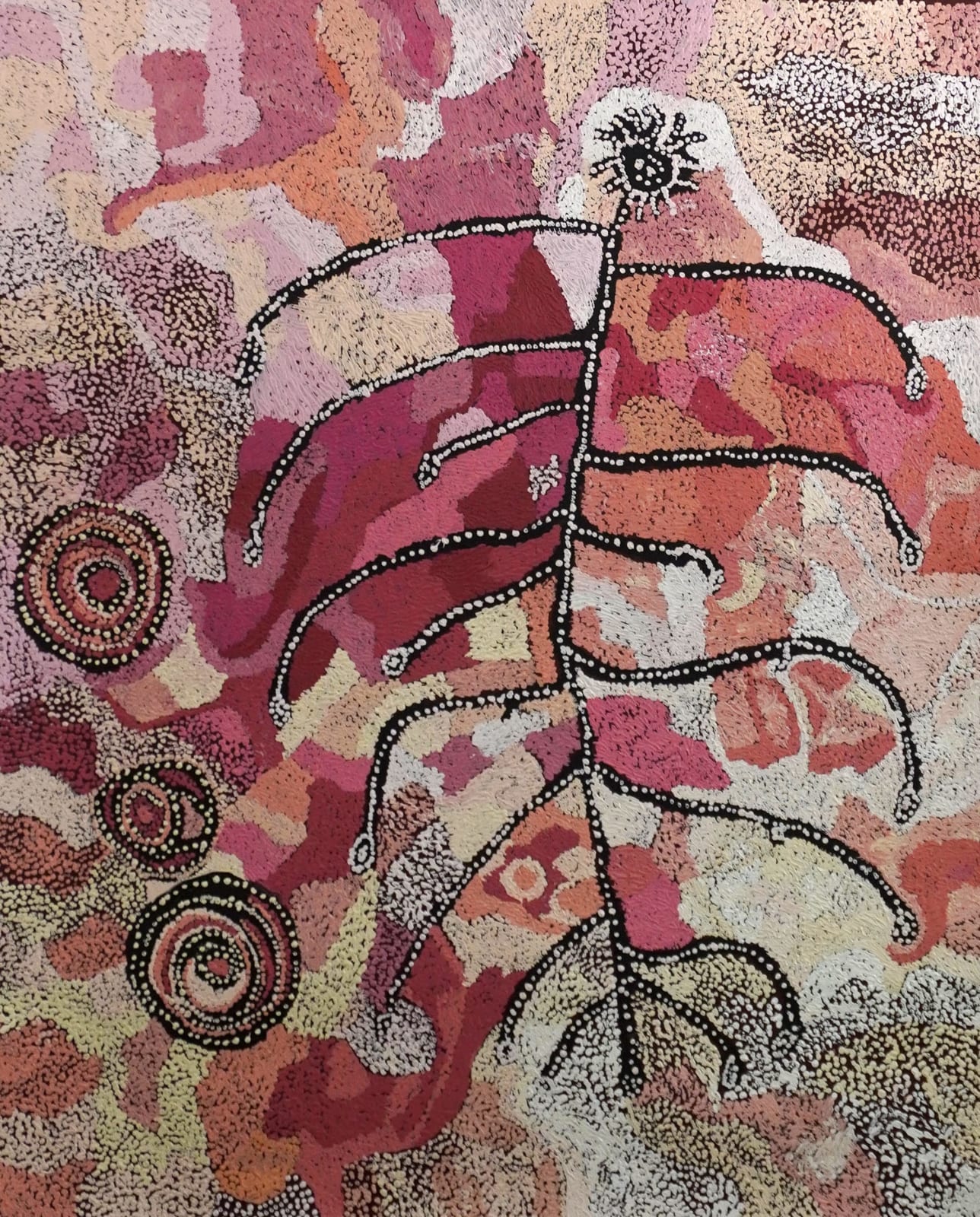 Nellie Coulthard, Tjuntala Ngurangka - Country with Wattle (Acacia Murrayana), 2024