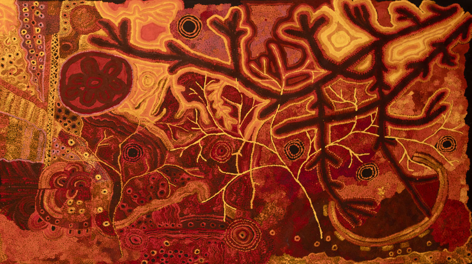 Mimili Collaboration, 2023