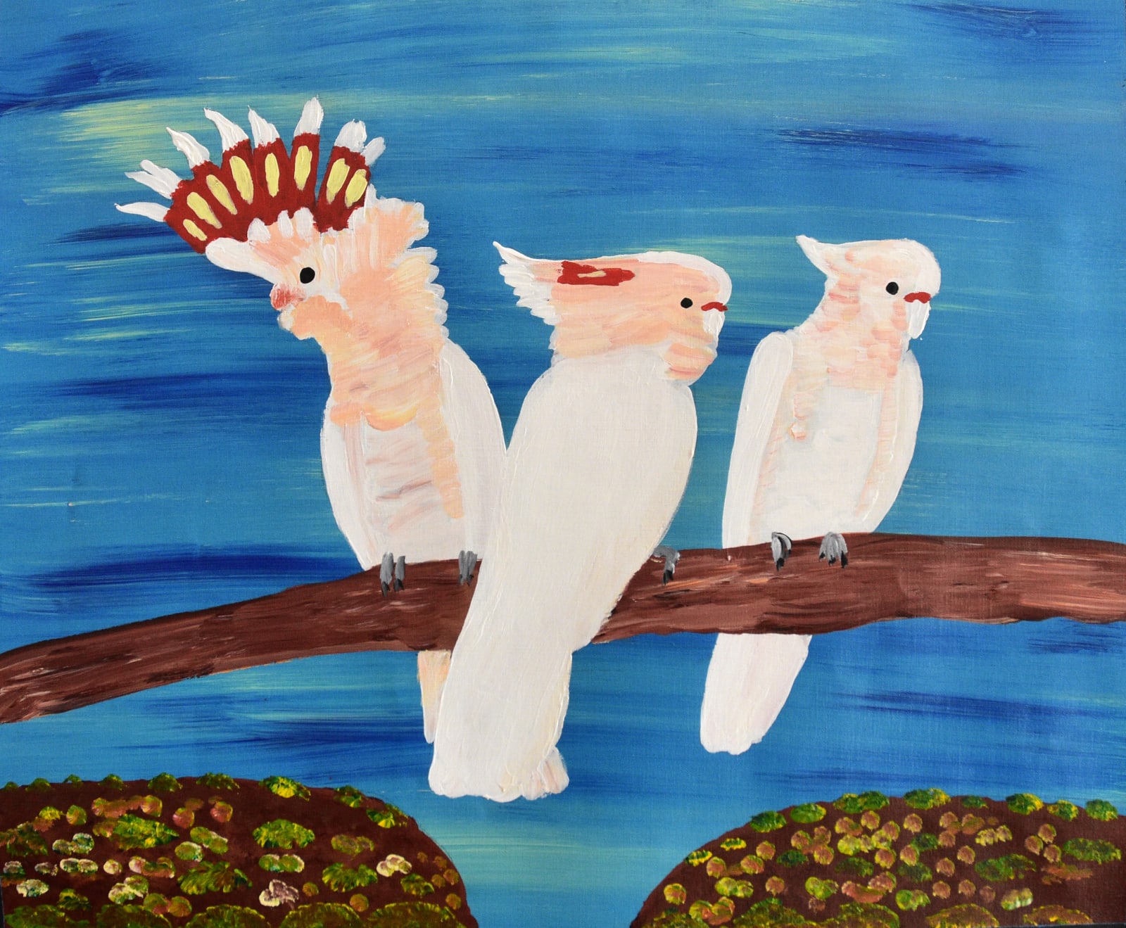 Kukula Mcdonald, Pink Bums Flying at Honeymoon Gap, 2023