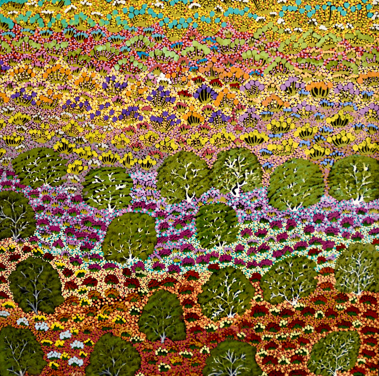 Pammy Foster, Bush Flowers, 2022