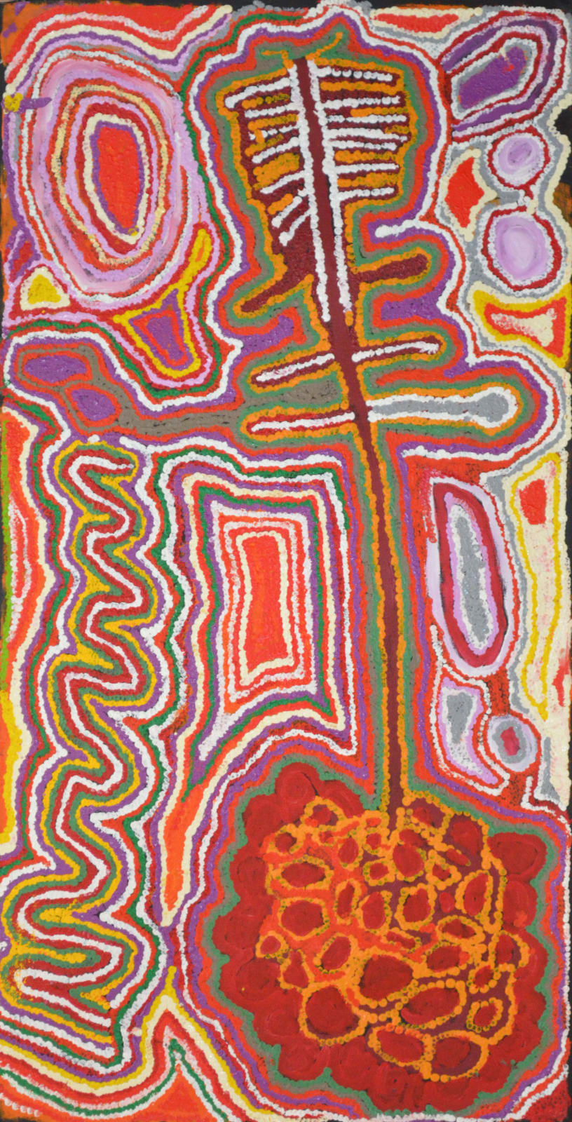 Jimmy Donegan, Pukara