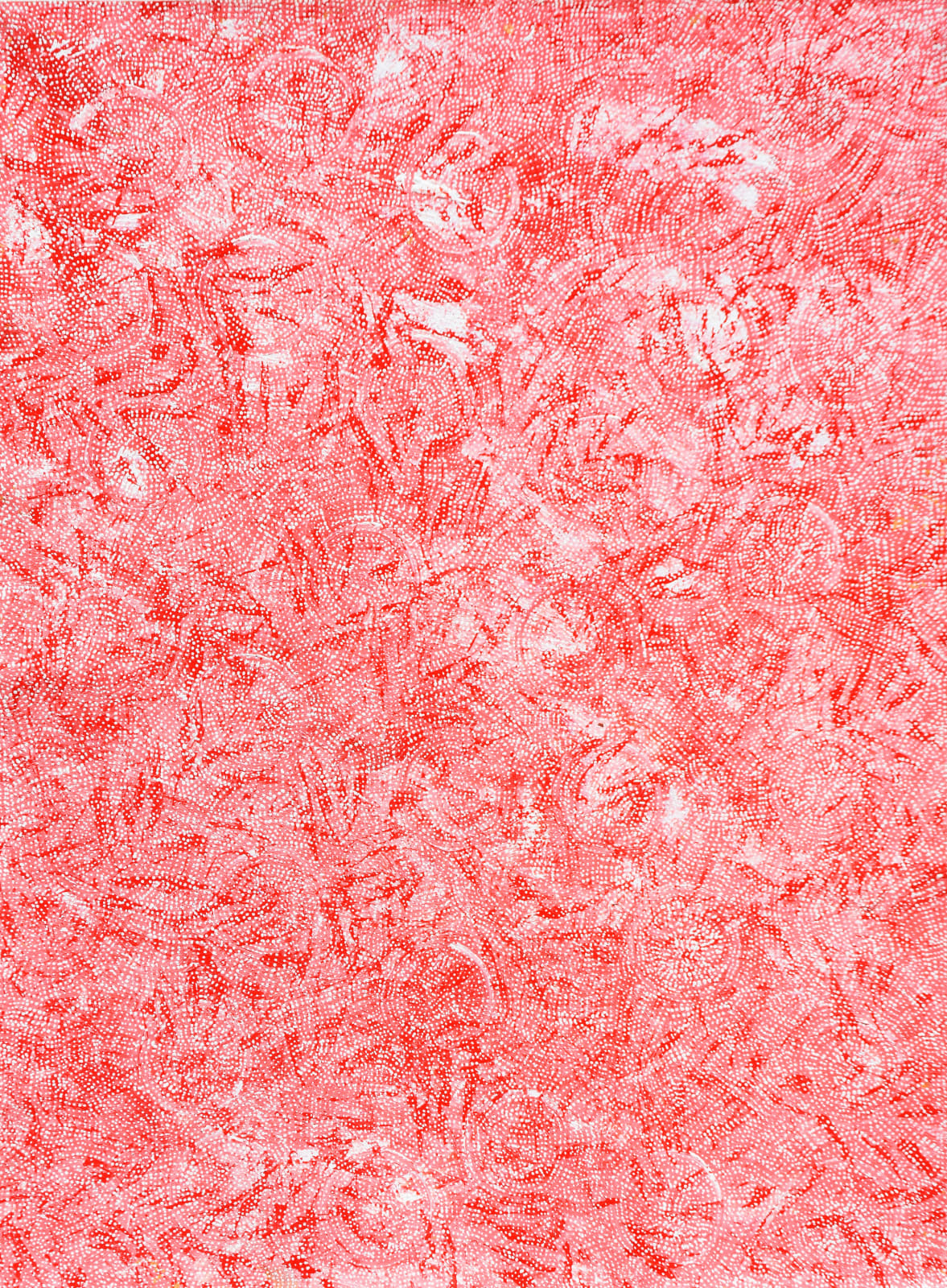 Melissa Sandy, Sturt Pea, 2022