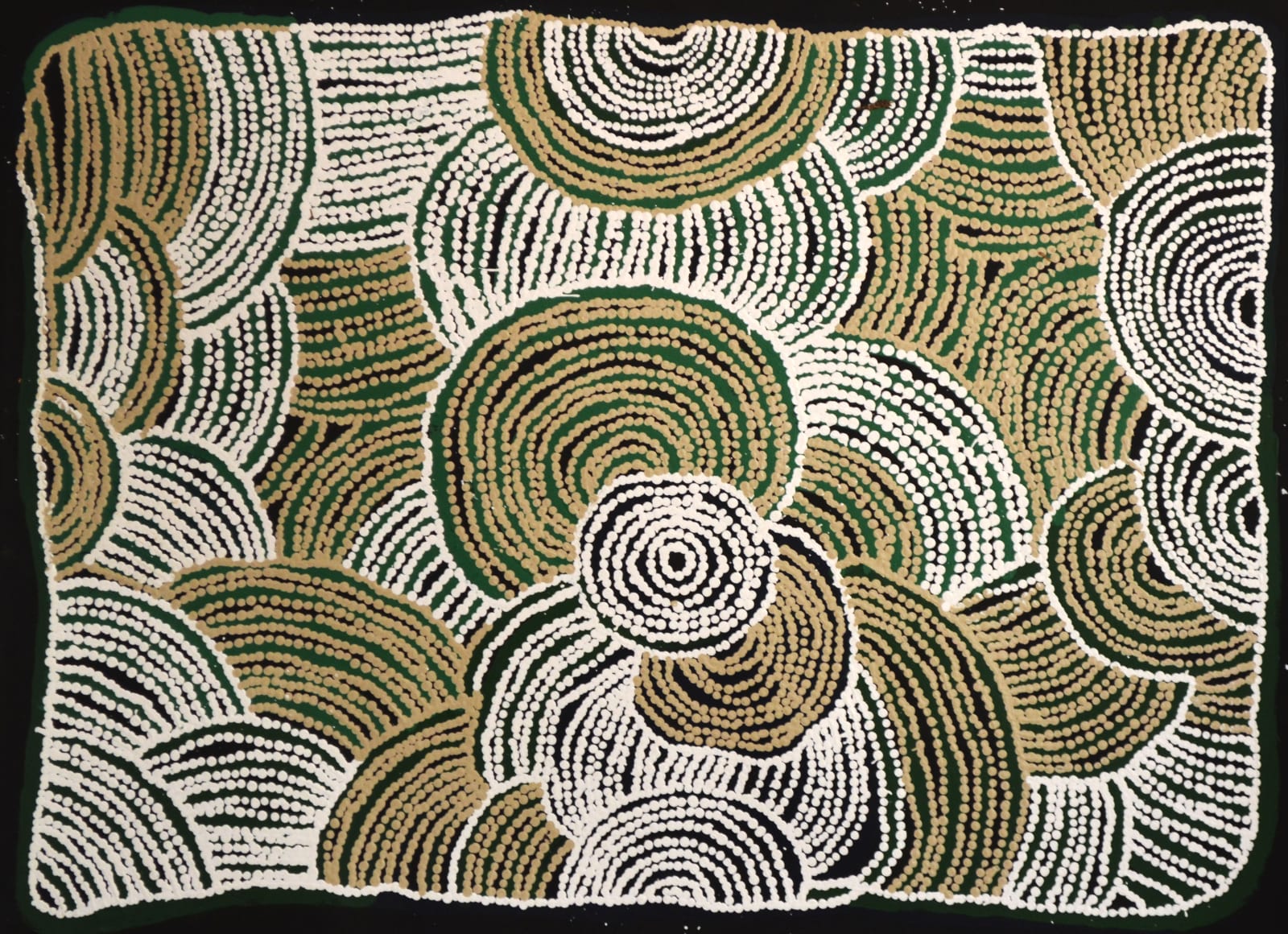 Tjawina Porter, Porcupine Dreaming