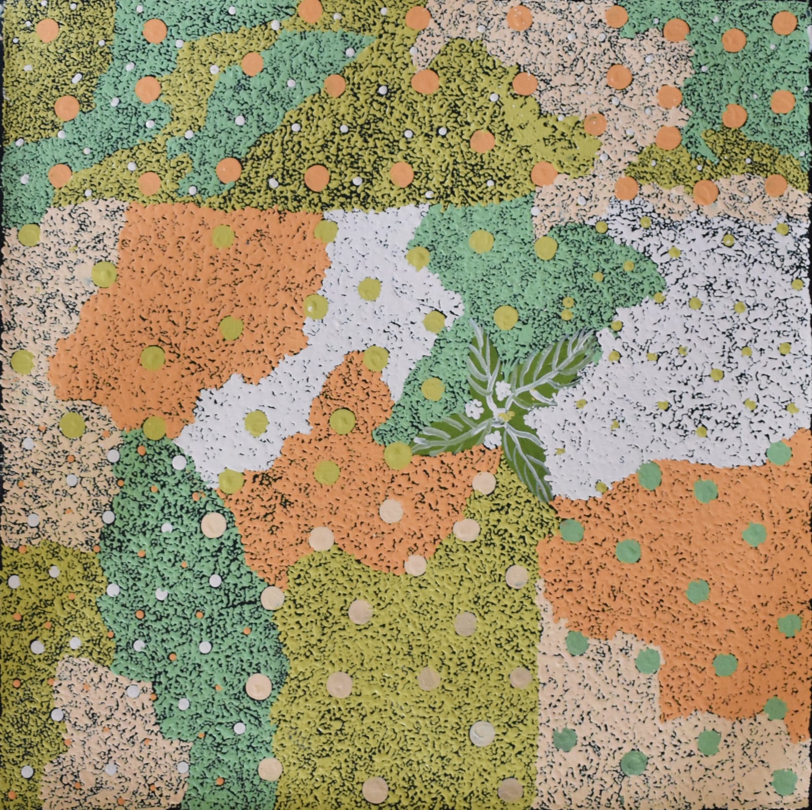 Maggie Nakamarra Corby, Bush Medicine, 2019