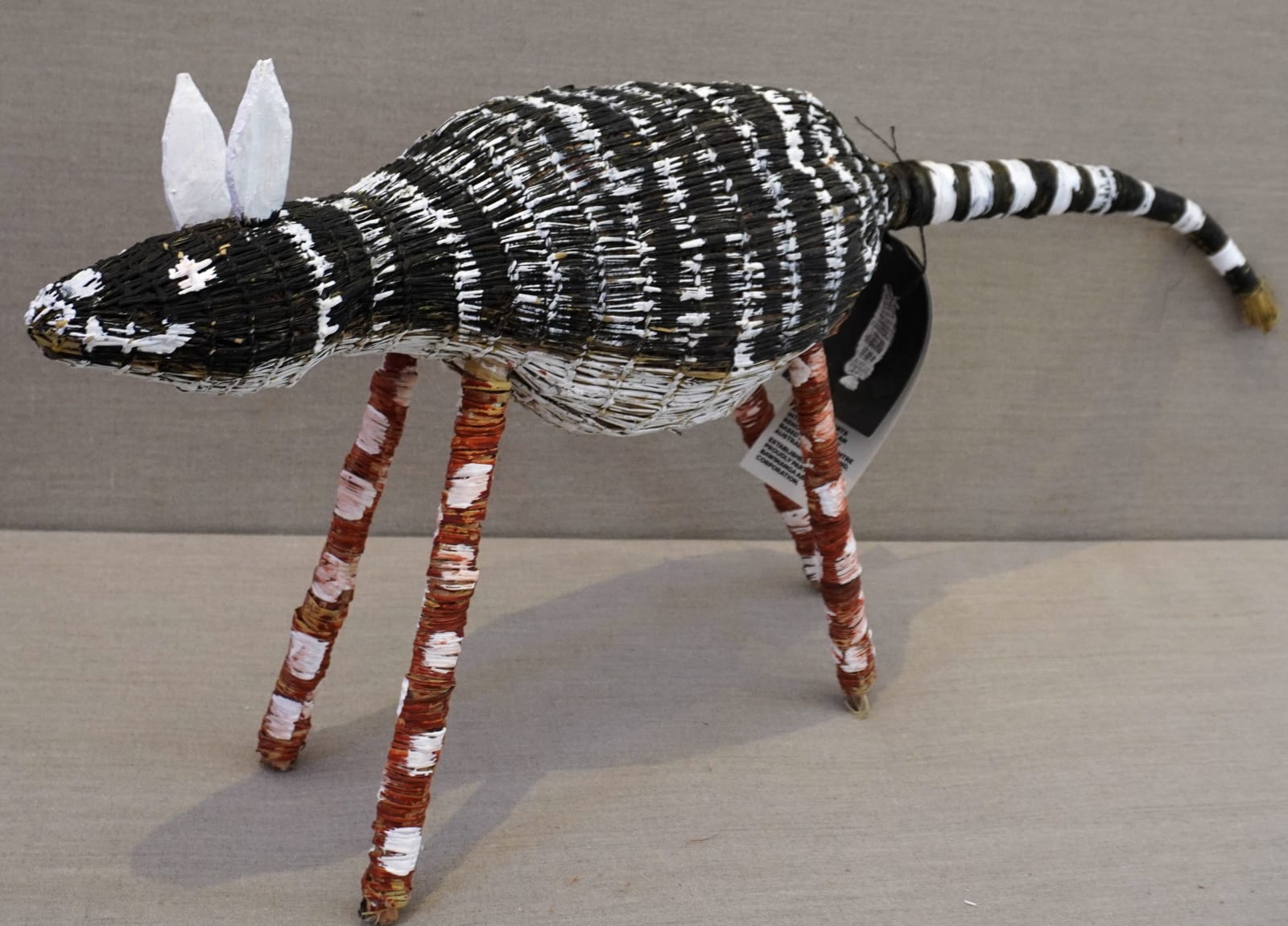 Vera Cameron, Djamo (dog), 2025