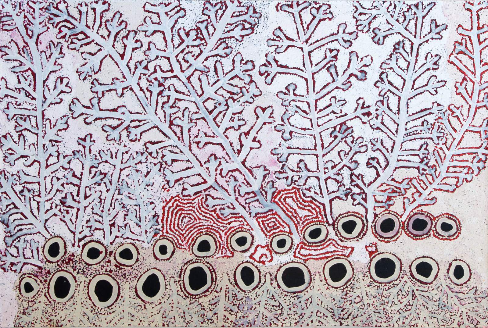 Simon Hogan, Nyunturunya 2013