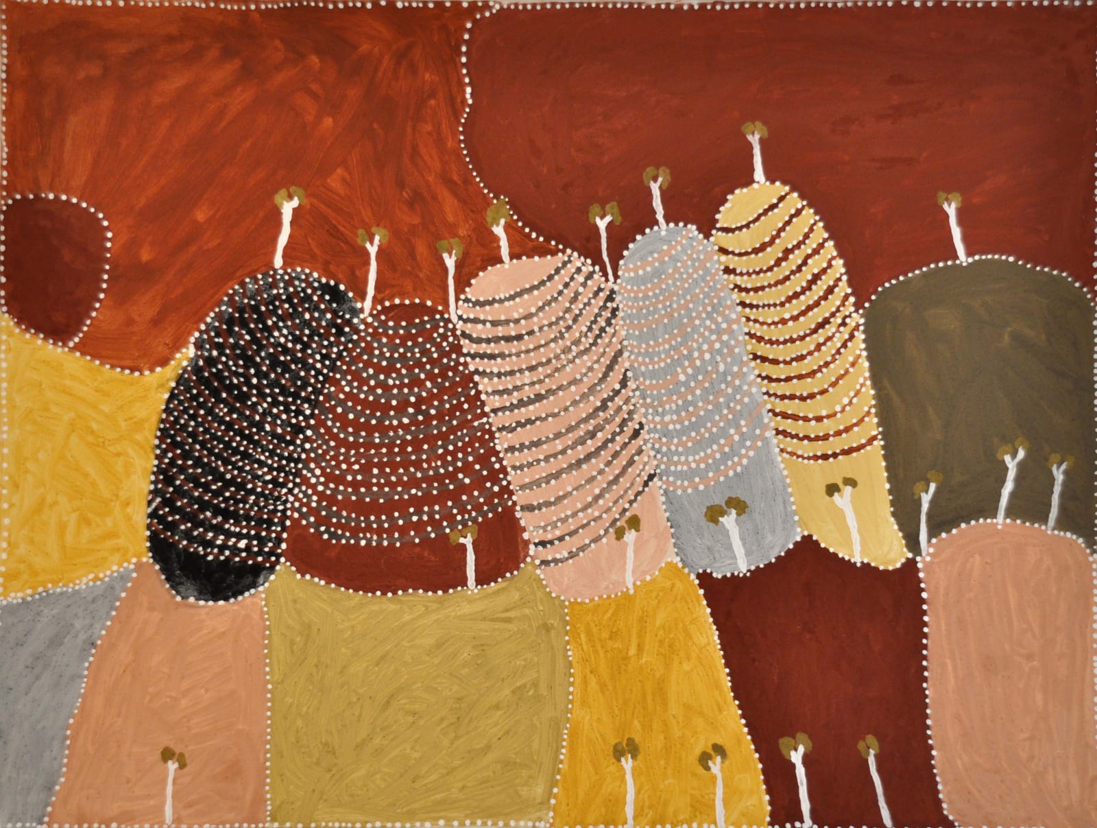 Patrick Mung Mung, Purnululu