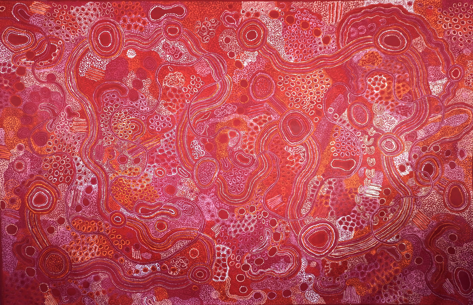 Janie Kulyuru Lewis, Ngayuku Ngura - My Country, 2024